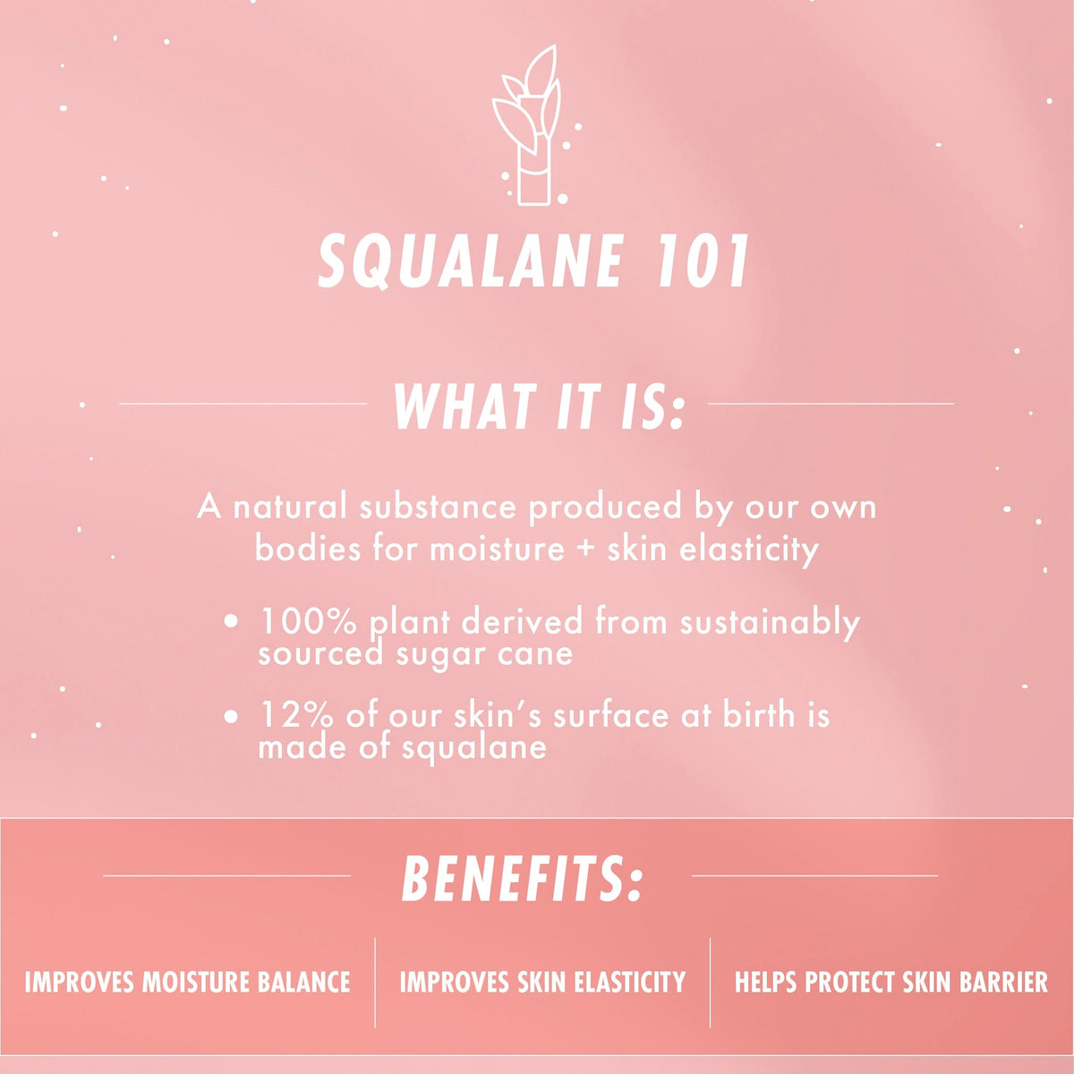 Squalane 101 graphic explains The Daily Face Cream face moisturizer by ColourPop, highlighting plant-derived squalane from sugarcane that boosts moisture balance, improves skin elasticity, and helps protect the skin barrier on a soft pink backdrop.